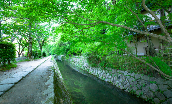 祇園・東山エリア